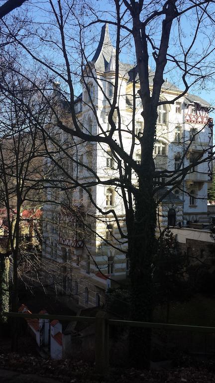 Villa Sofia Apartments 卡罗维发利 外观 照片